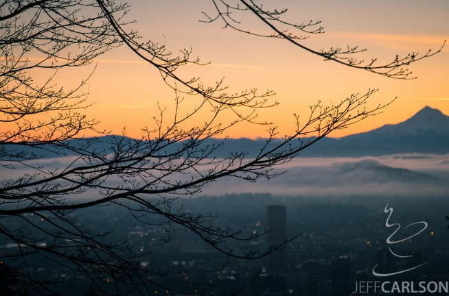 My friend Mason Marsh invited me to an impromptu sunrise shoot at Pittock Mansion, which overlooks downtown Portland with Mount Hood in the distance. Although the fog wasn't as dramatic as he was hoping for, it still made for a nice photo. And we weren't the only ones to think so: maybe 50 photographers were set up when we arrived, which meant the "typical" vantage point was filled. All the more reason to look for something creative.